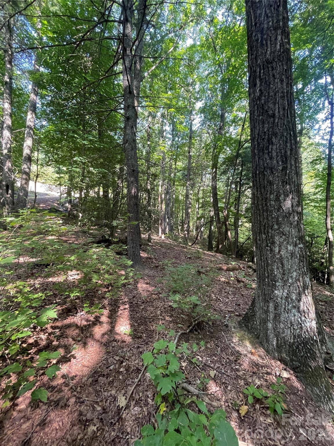 Lot at Lot # 21 Haverhill Court, Flat Rock, photo 16 of 31
