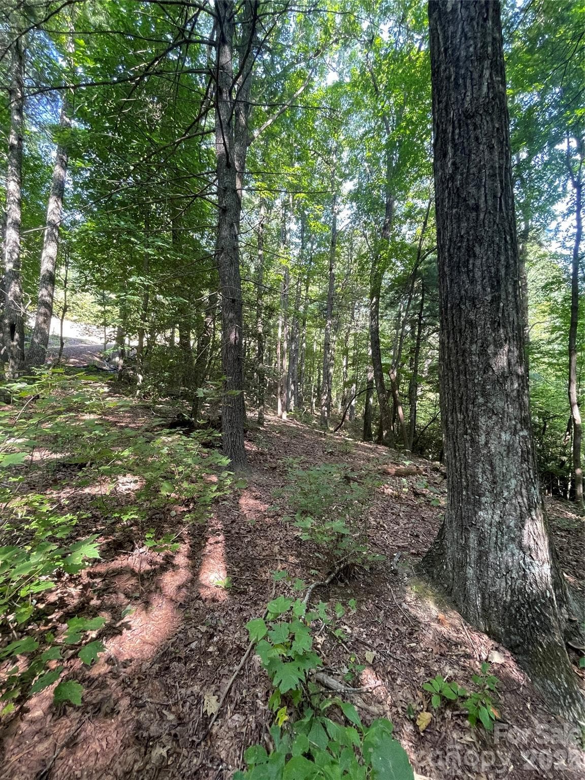Lot at Lot # 21 Haverhill Court, Flat Rock, photo 17 of 31