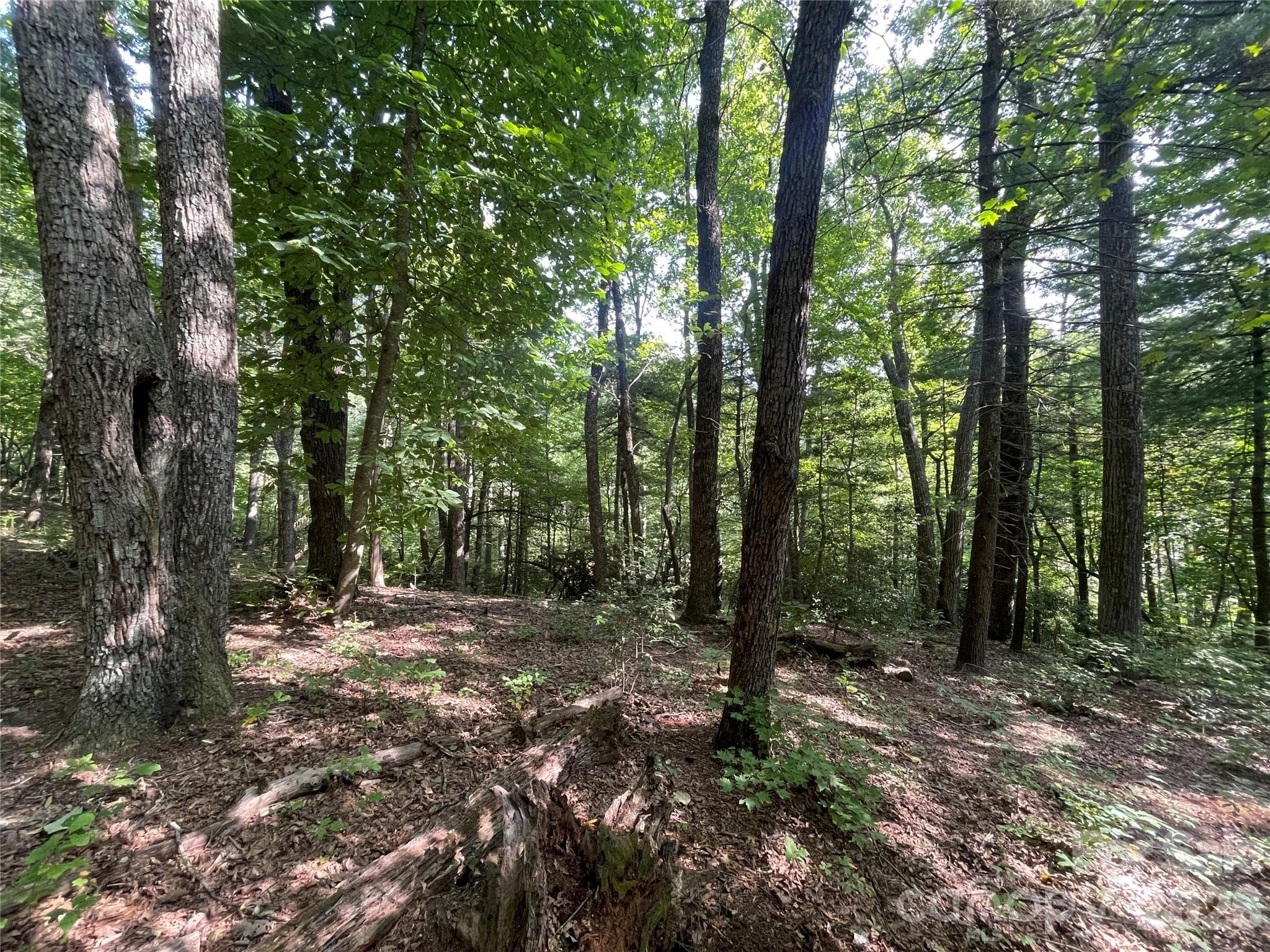 Lot at Lot # 21 Haverhill Court, Flat Rock, photo 20 of 31