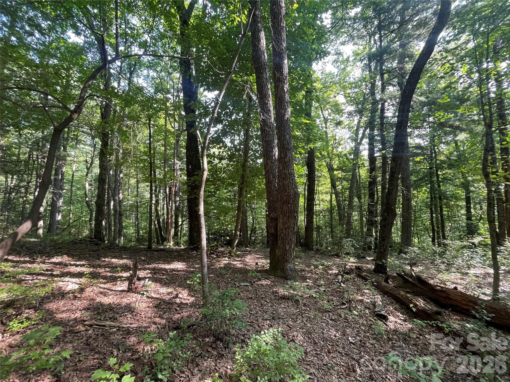 Lot at Lot # 21 Haverhill Court, Flat Rock, photo 21 of 31