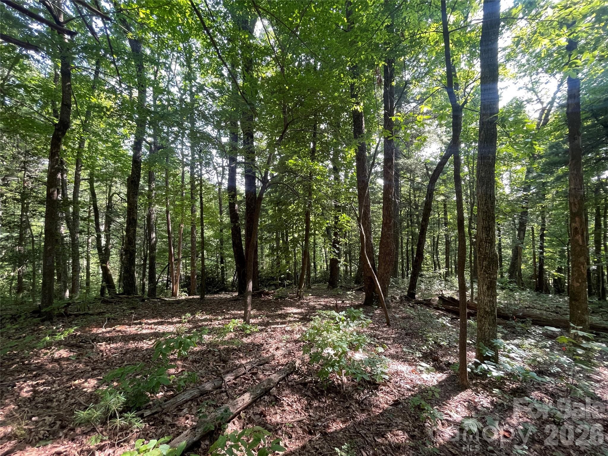 Lot at Lot # 21 Haverhill Court, Flat Rock, photo 22 of 31