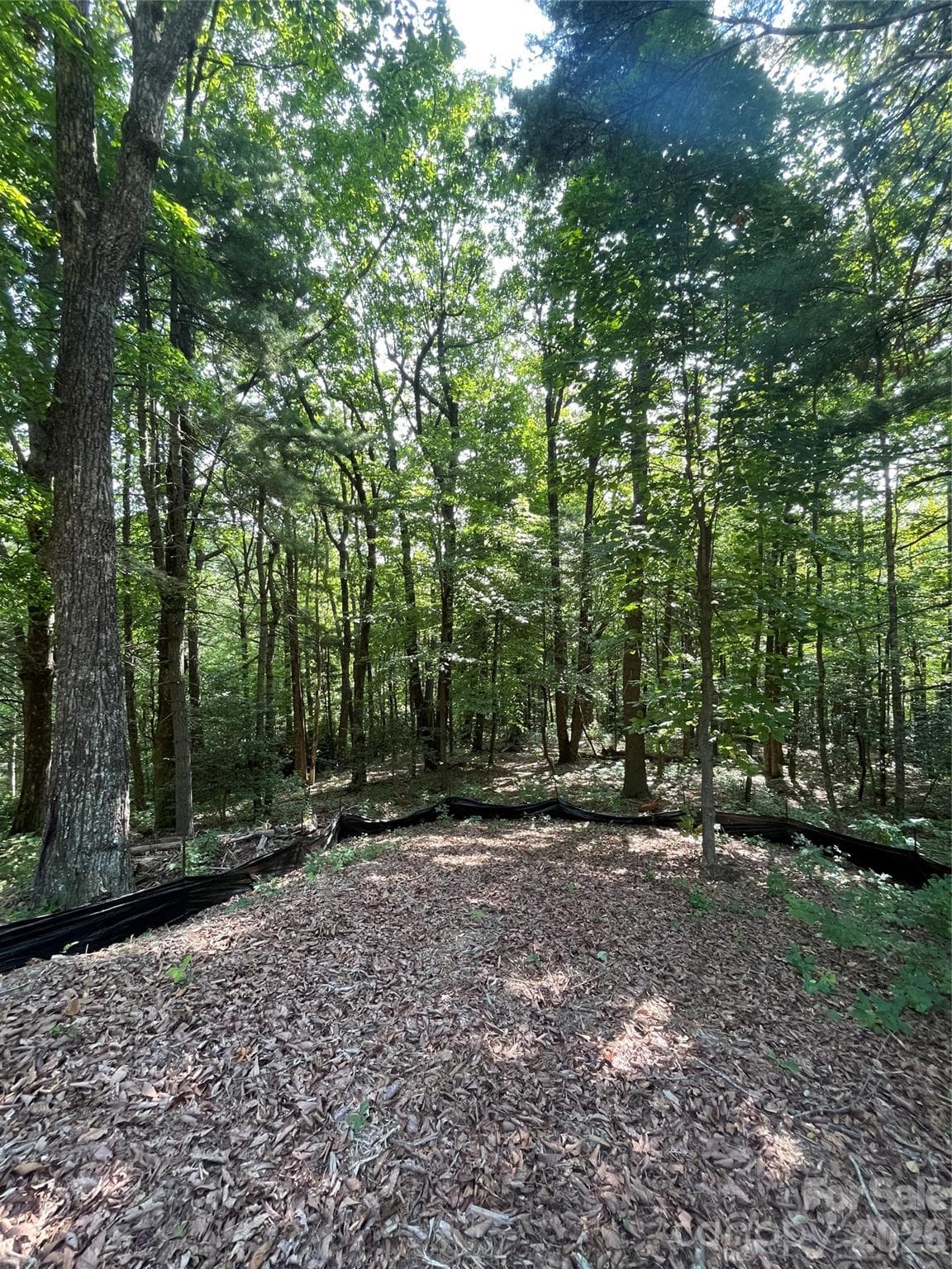 Lot at Lot # 21 Haverhill Court, Flat Rock, photo 25 of 31