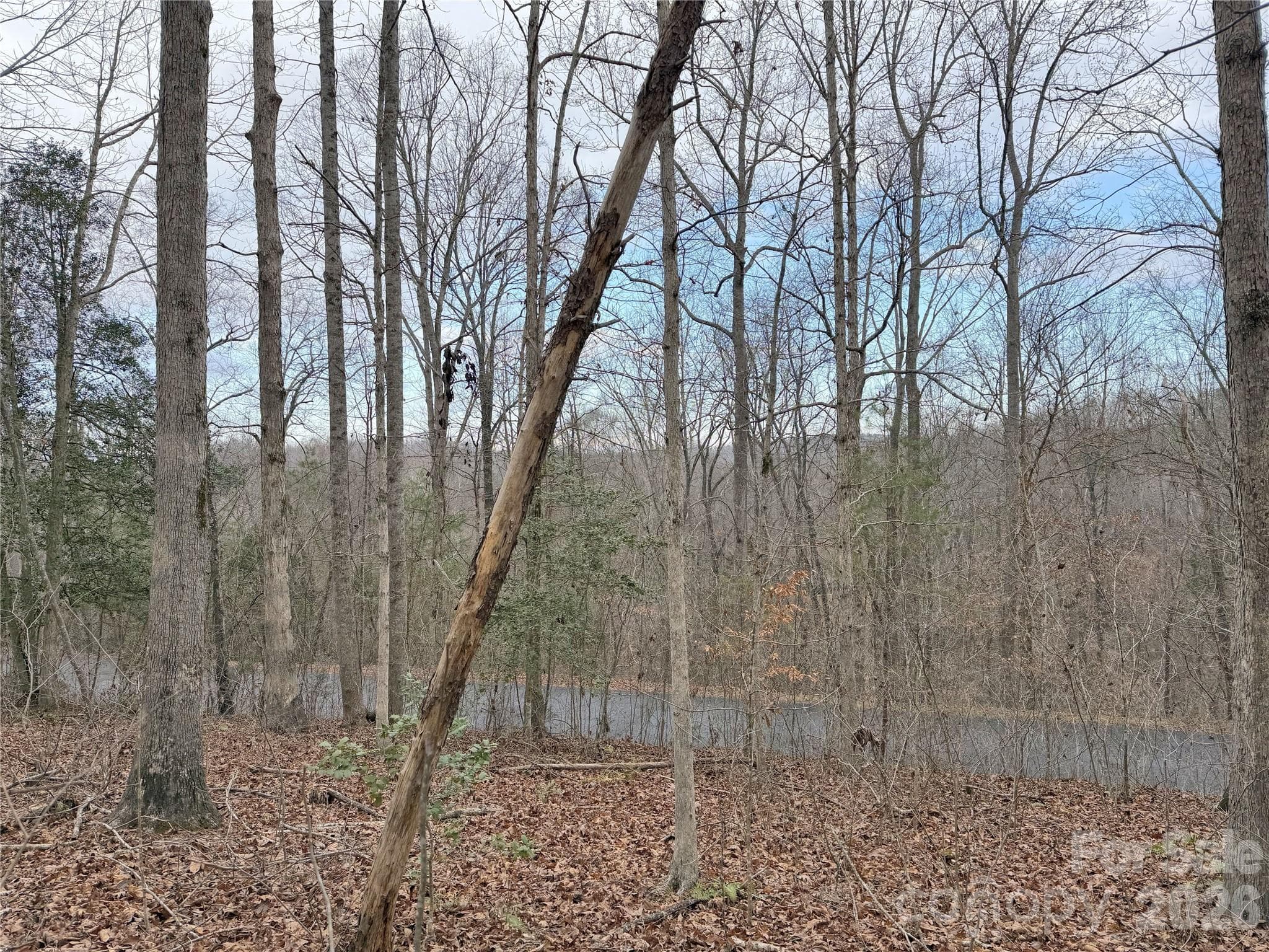 0000 E Rambling Creek Drive
