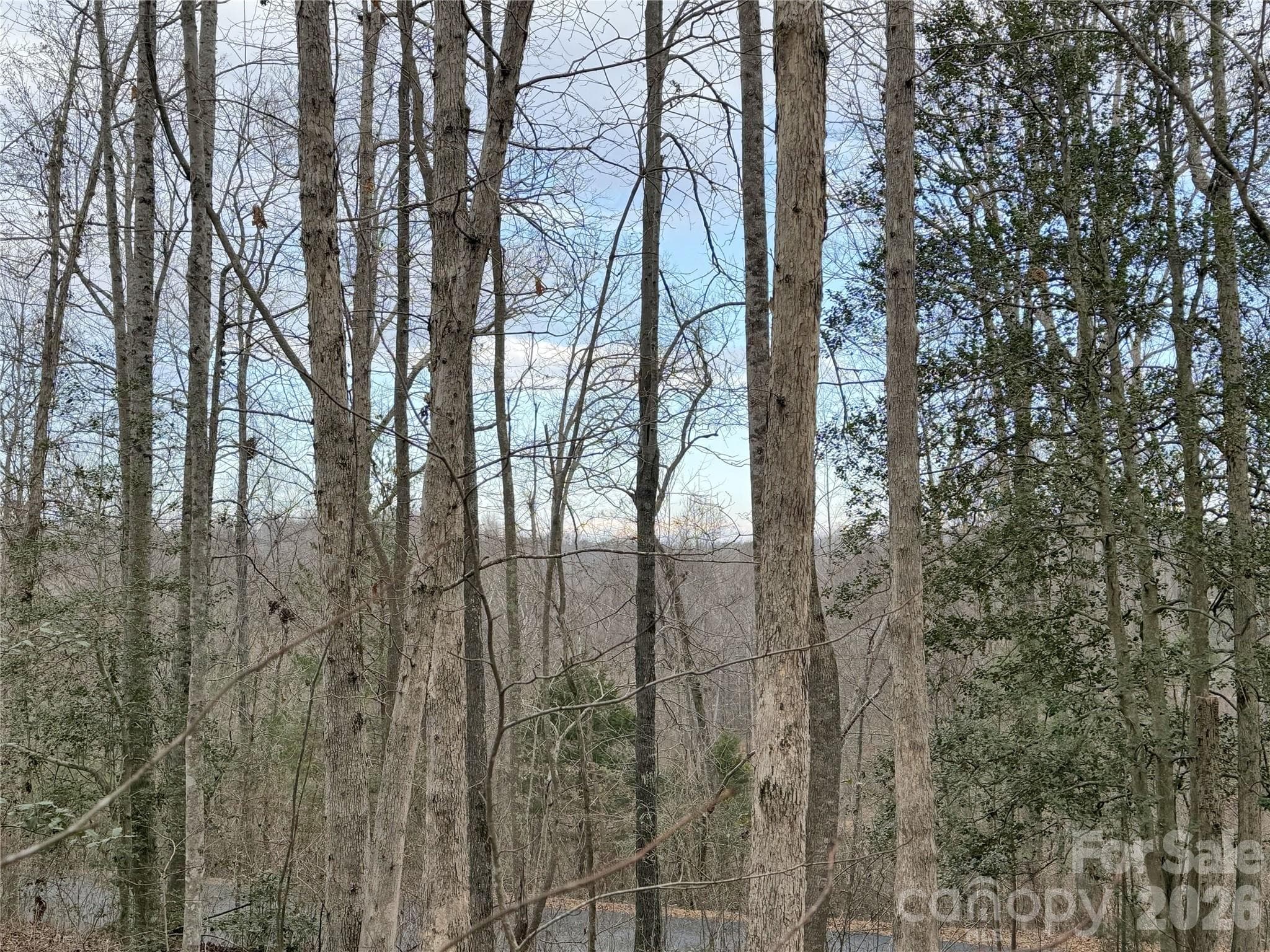 Lot at 0000 E Rambling Creek Drive, Tryon, photo 2 of 6