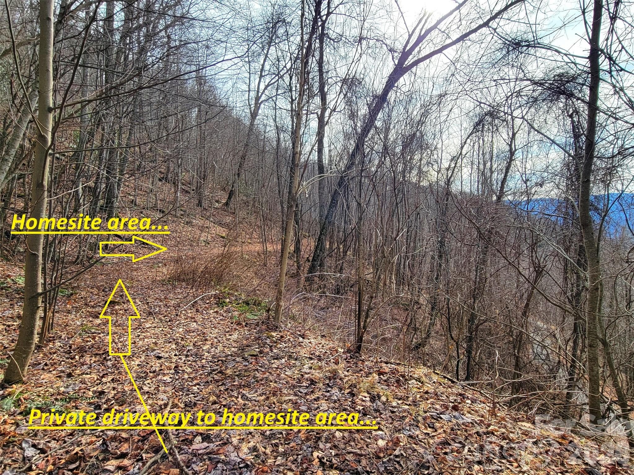 Lot at Clyde, photo 2 of 17