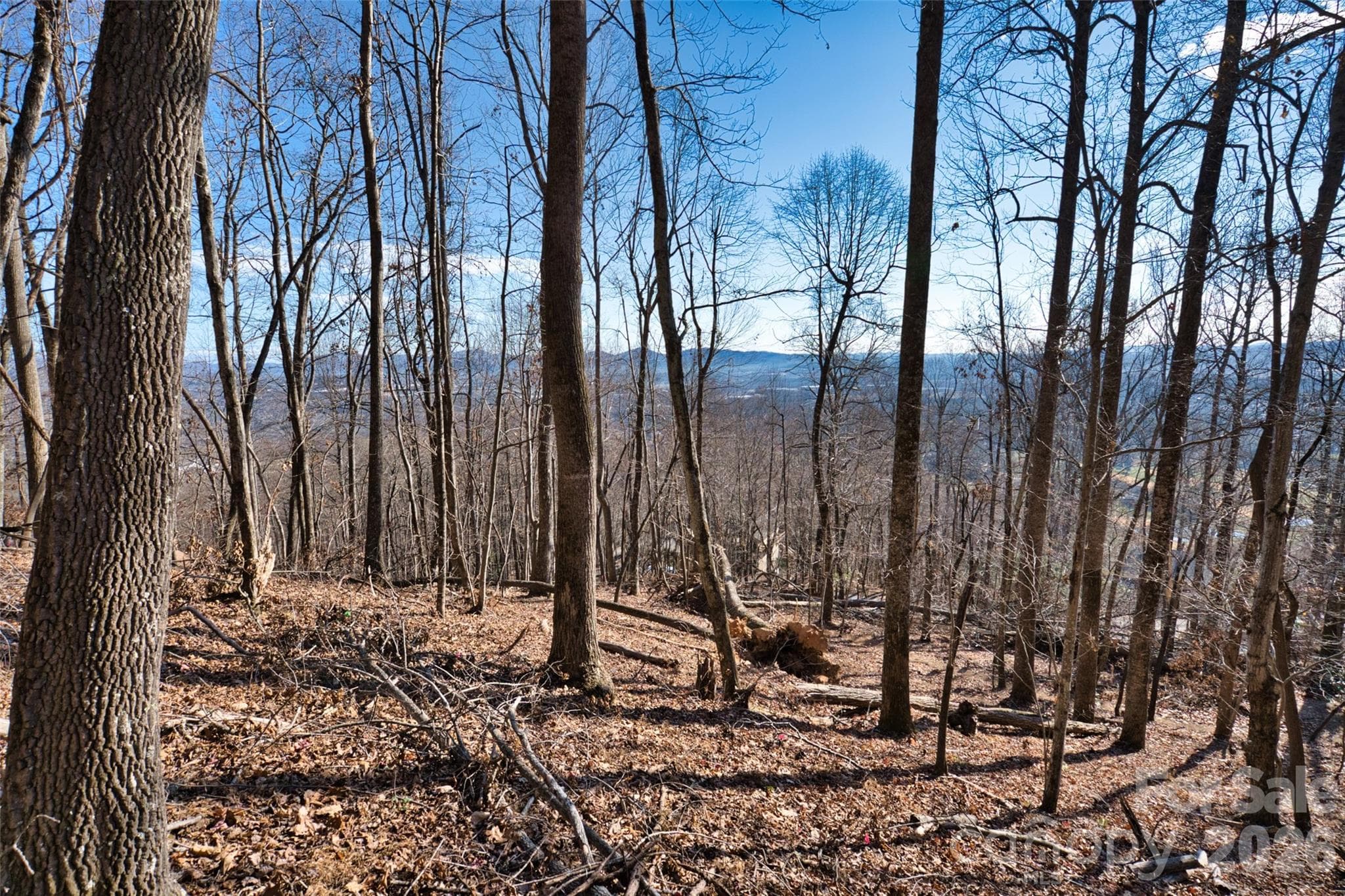 possible build spot - 9999 Walnut Drive, Mills River