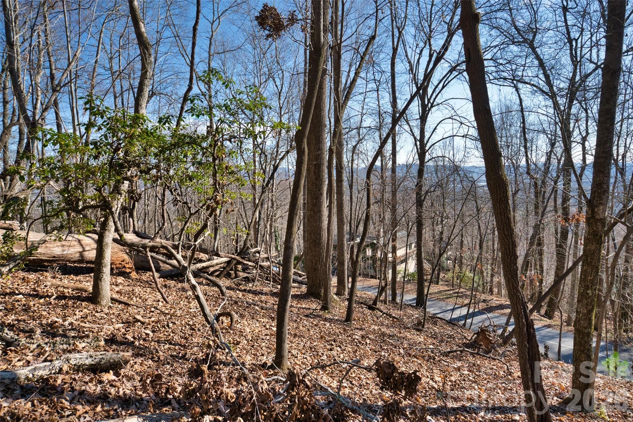Lot at 9999 Walnut Drive, Mills River, photo 3 of 27