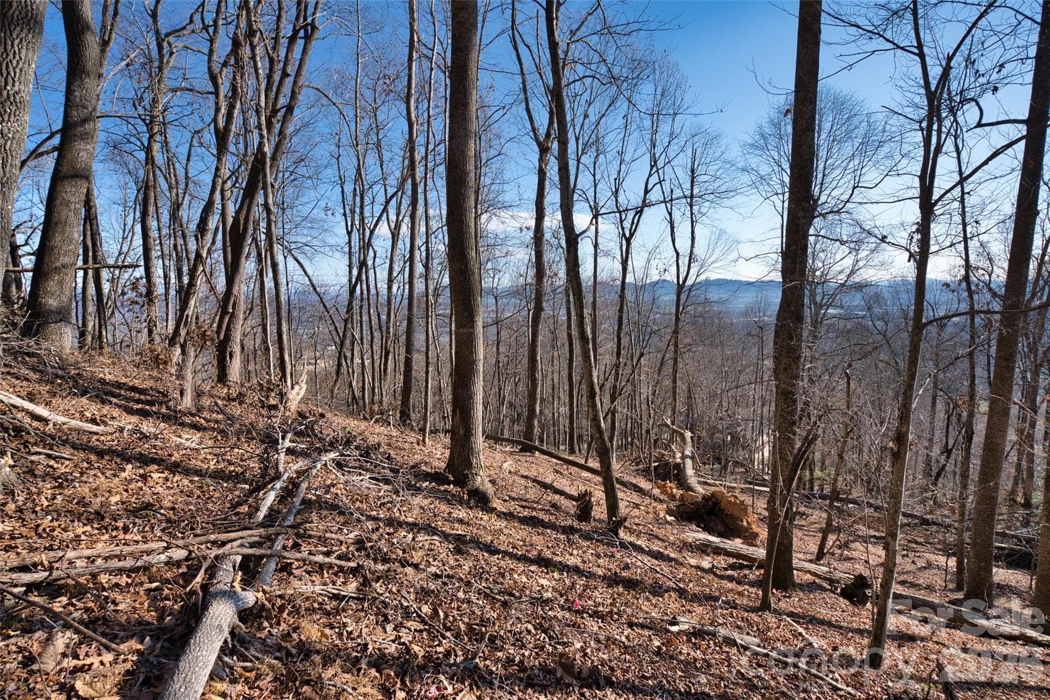 Gentle topography and stunning views - 9999 Walnut Drive, Mills River