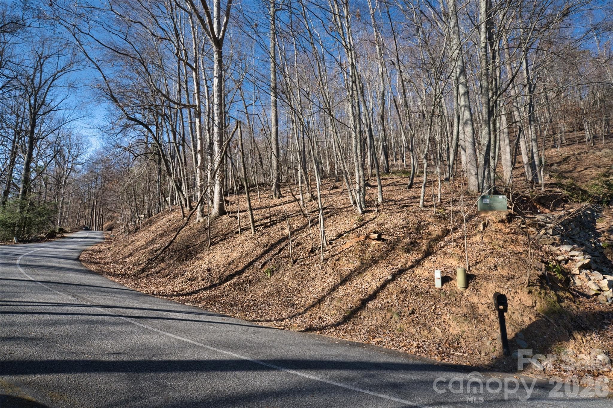 Street view of lot - 9999 Walnut Drive, Mills River