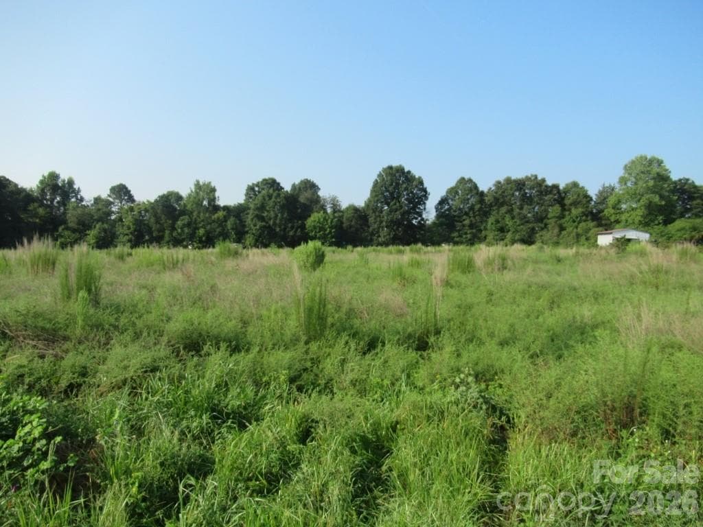 Unimproved Commercial at 3217 S Nc 16 Highway, Maiden, photo 2 of 6