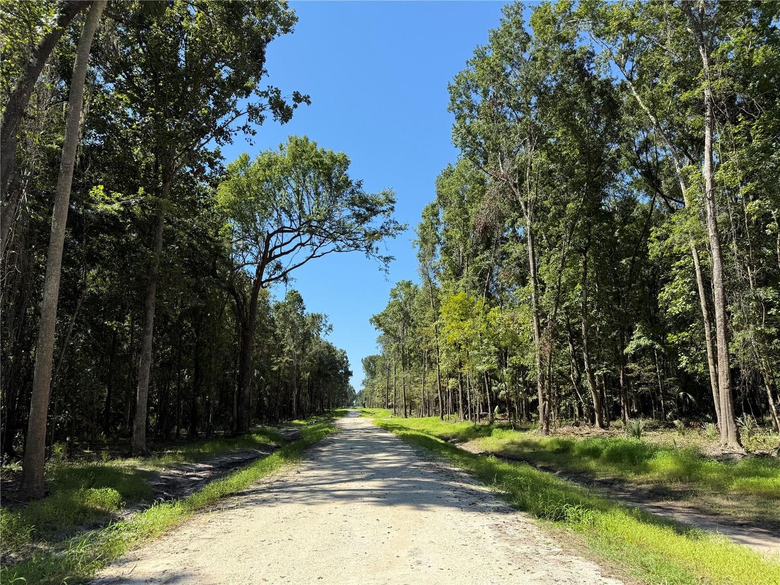 Land at DR #3 (10ac) NW 193RD ST, MICANOPY, photo 2 of 10