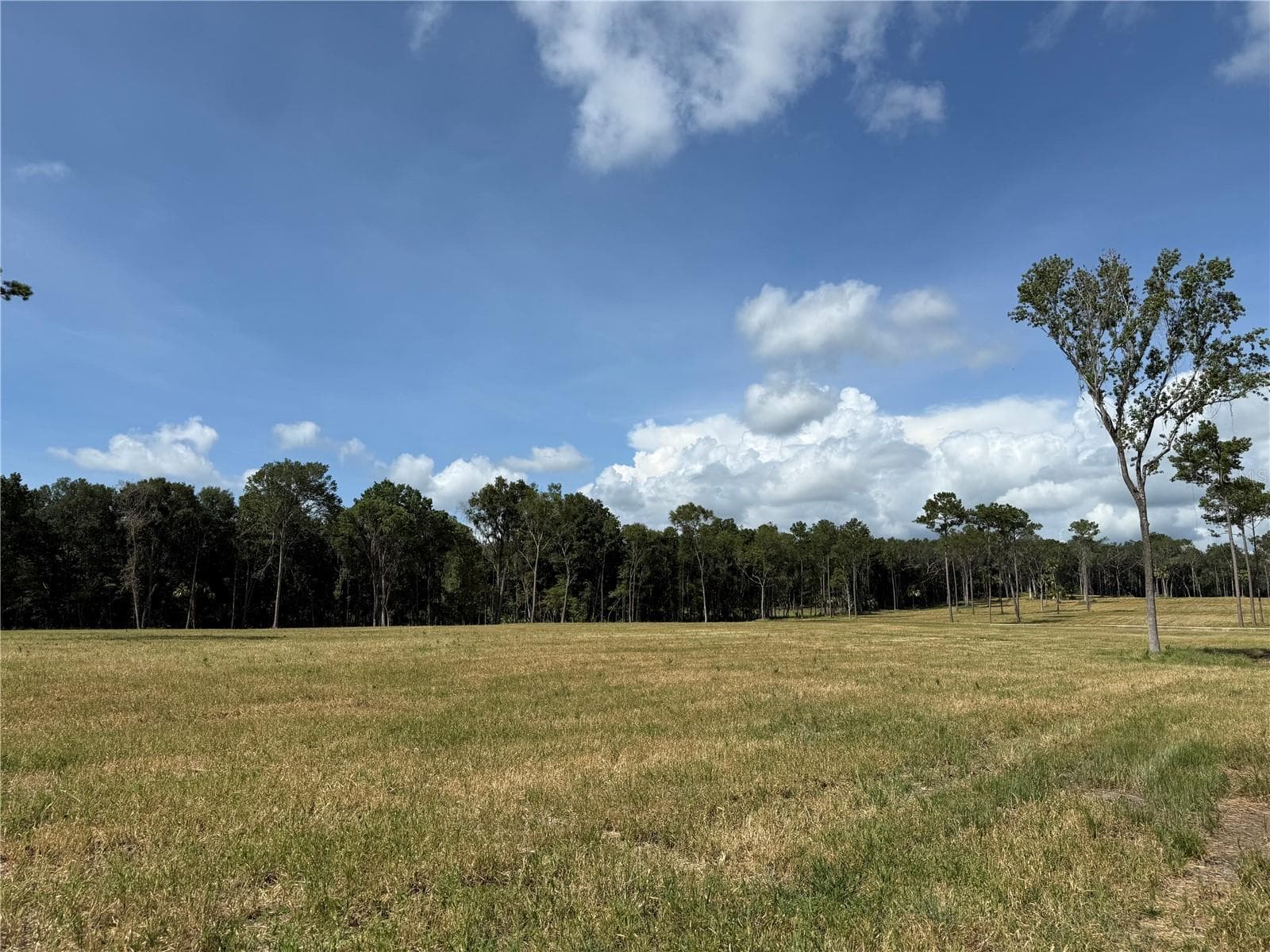 Land at DR #3 (10ac) NW 193RD ST, MICANOPY, photo 3 of 10