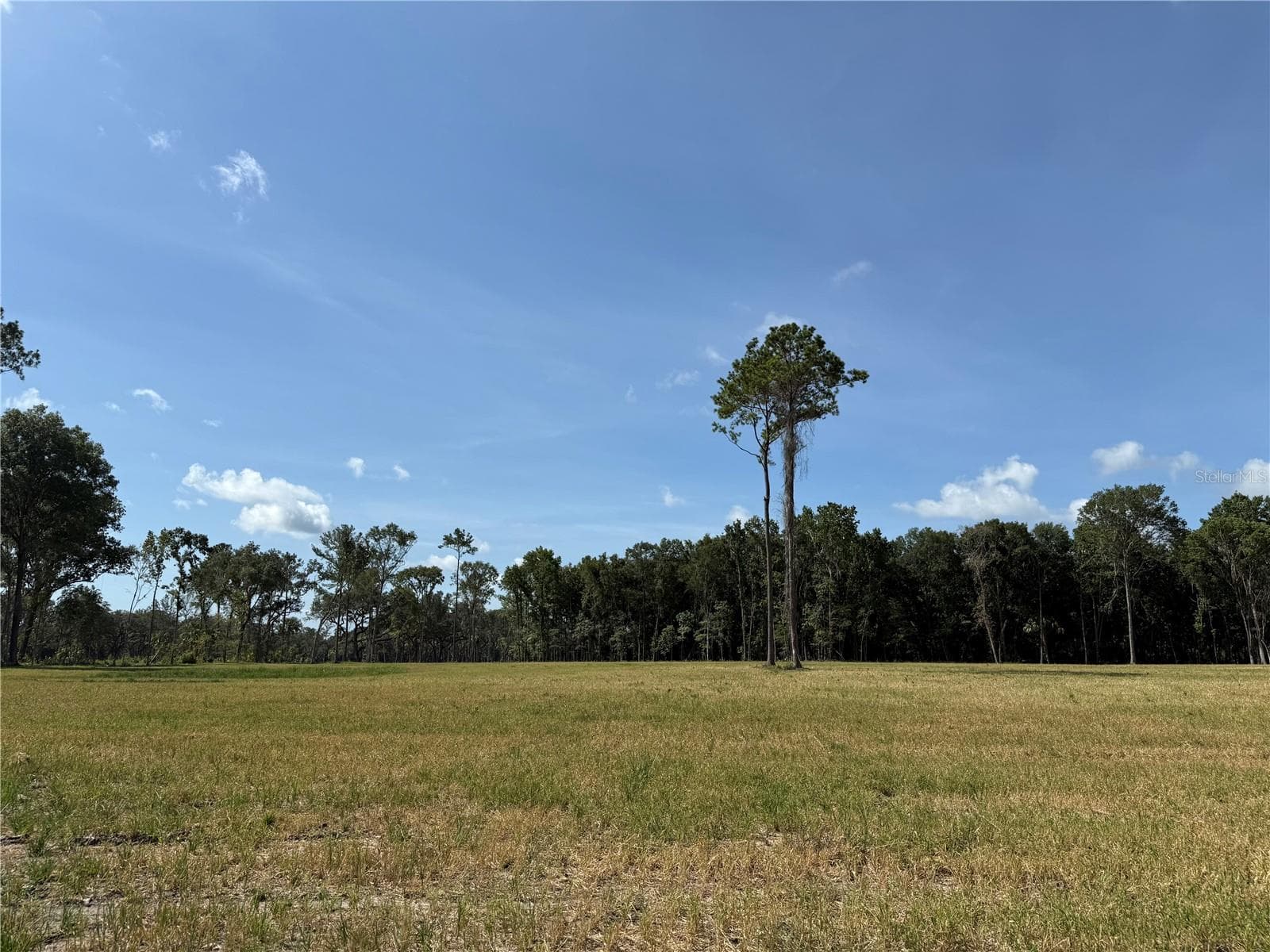 Land at DR #3 (10ac) NW 193RD ST, MICANOPY, photo 4 of 10