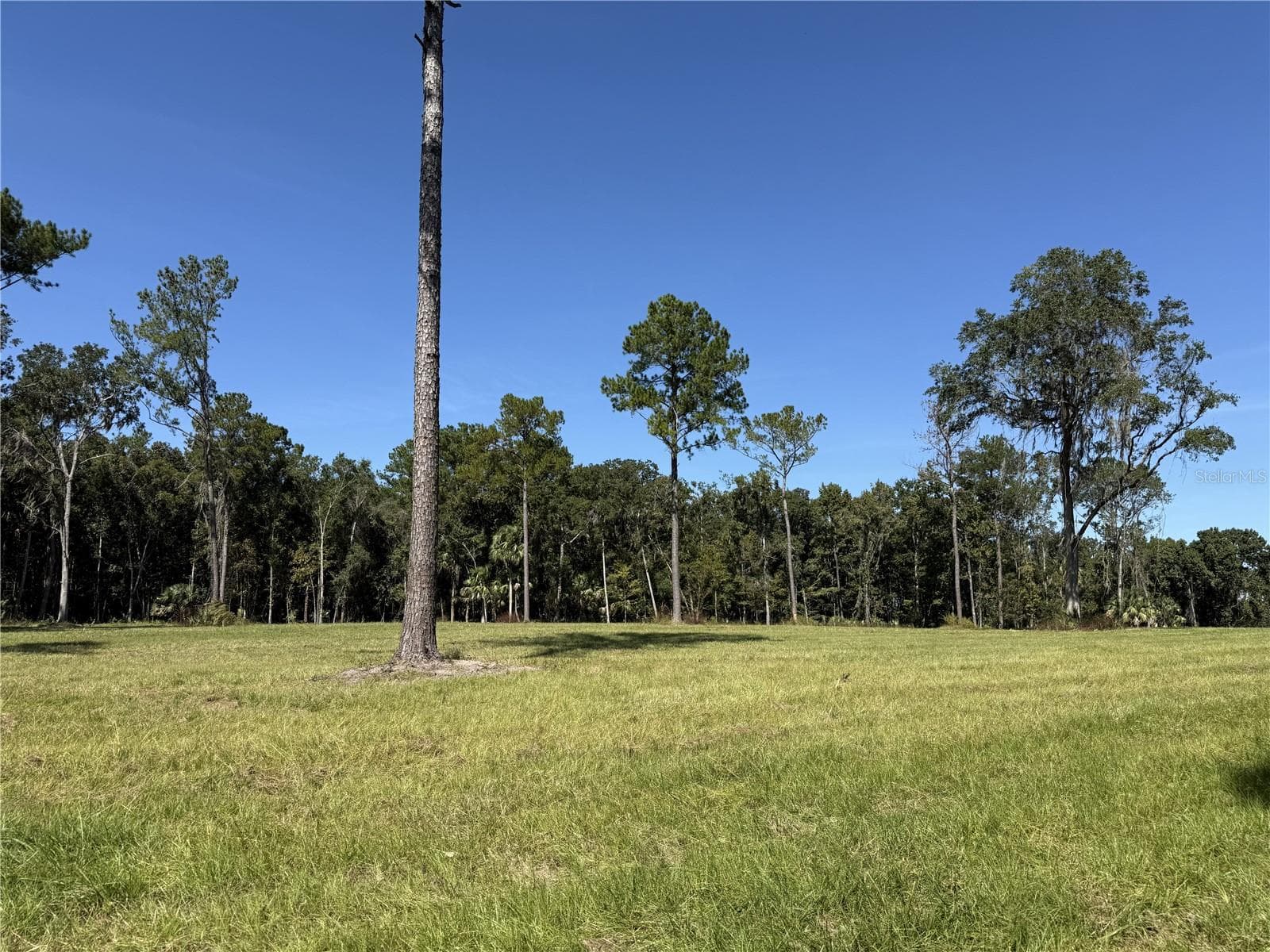 Land at DR #3 (10ac) NW 193RD ST, MICANOPY, photo 5 of 10