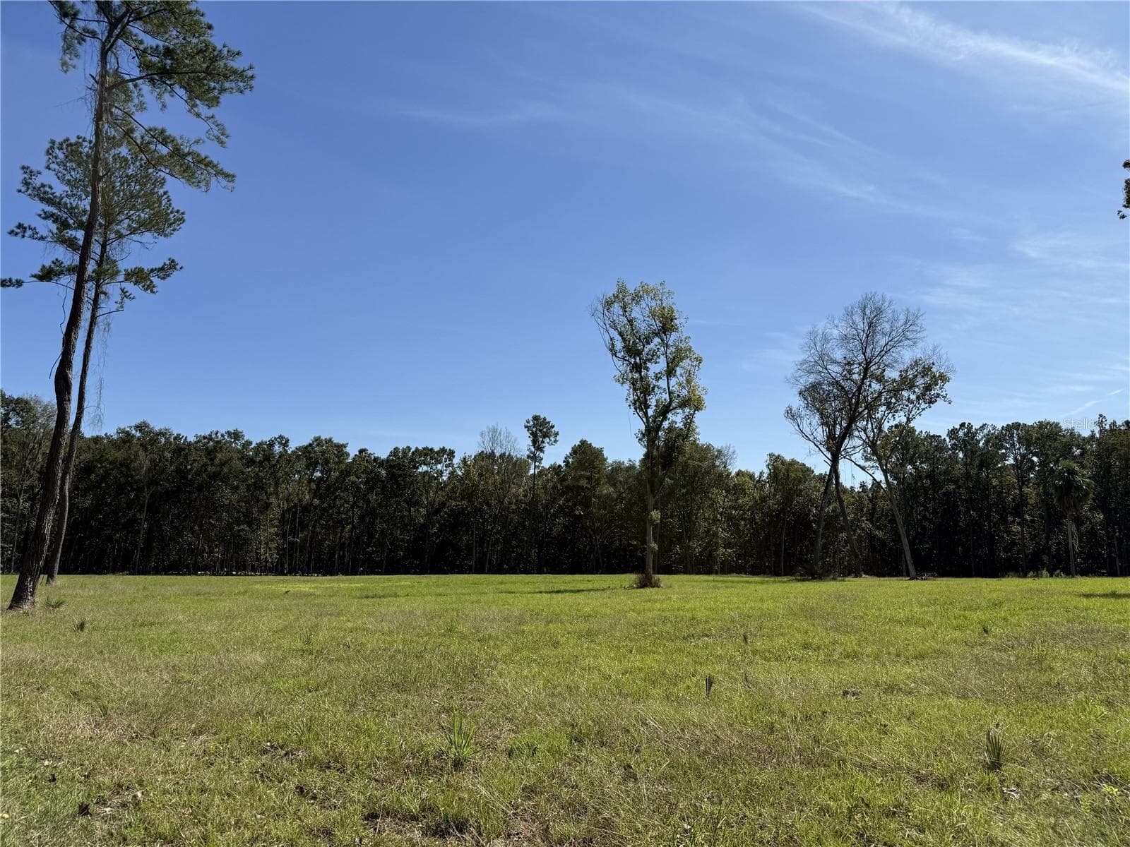 Land at DR #3 (10ac) NW 193RD ST, MICANOPY, photo 6 of 10
