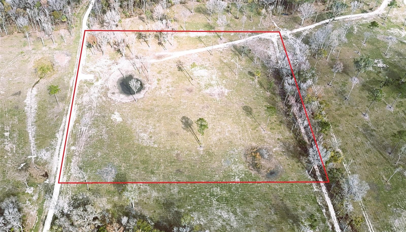 Land at DR #3 (10ac) NW 193RD ST, MICANOPY, photo 7 of 10