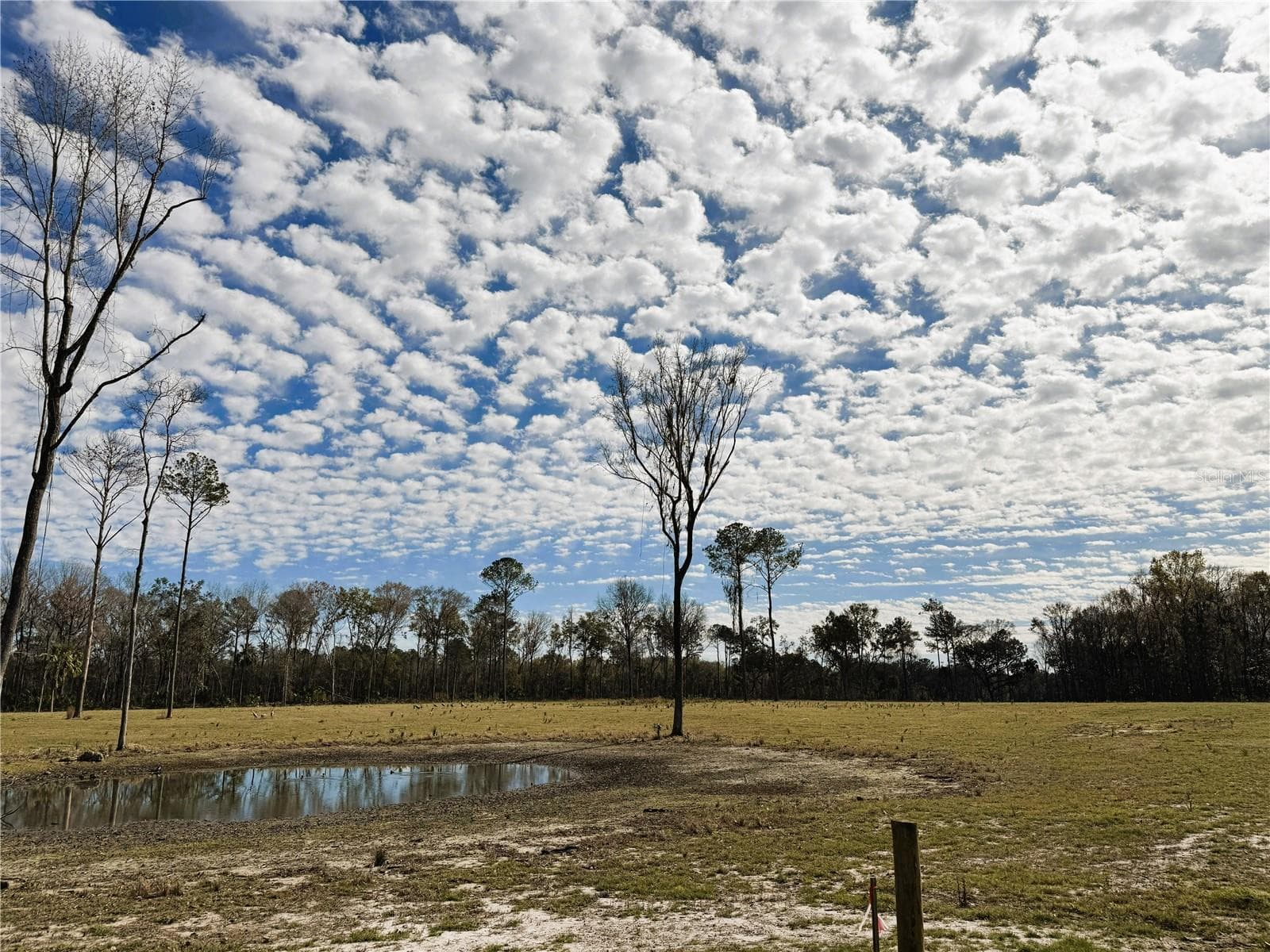 Land at DR #3 (10ac) NW 193RD ST, MICANOPY, photo 8 of 10