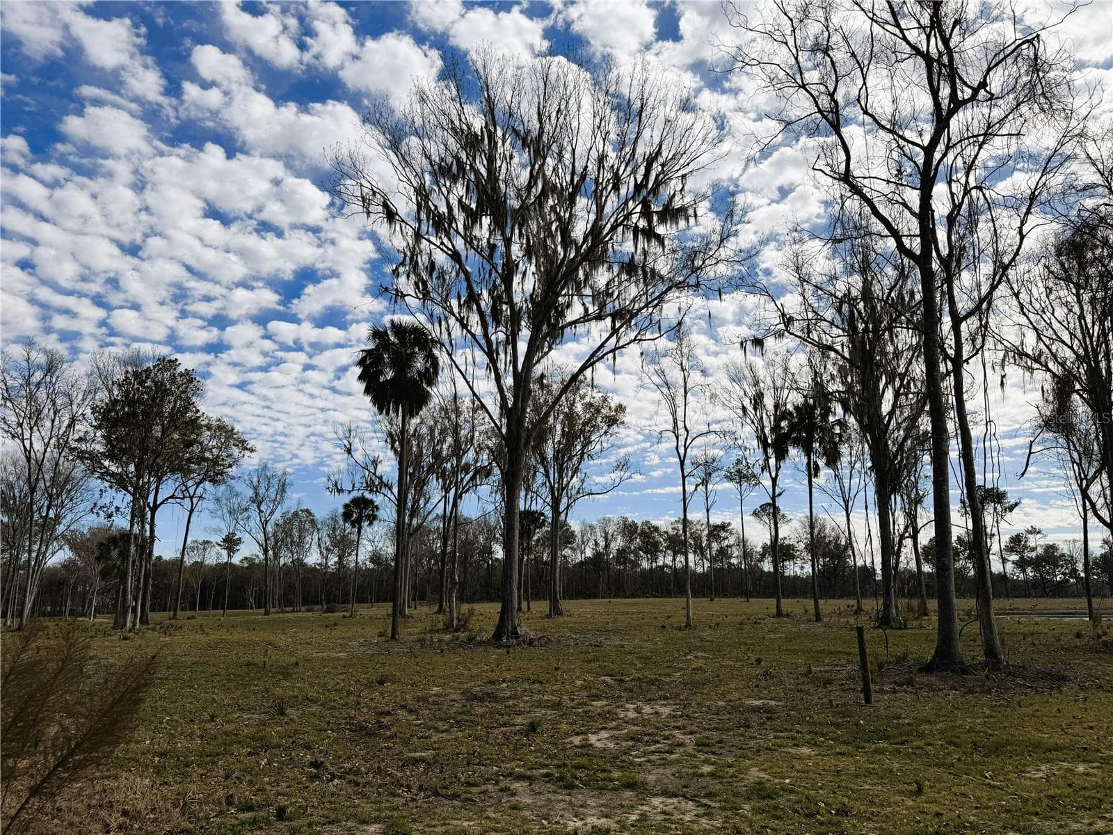 Land at DR #3 (10ac) NW 193RD ST, MICANOPY, photo 9 of 10
