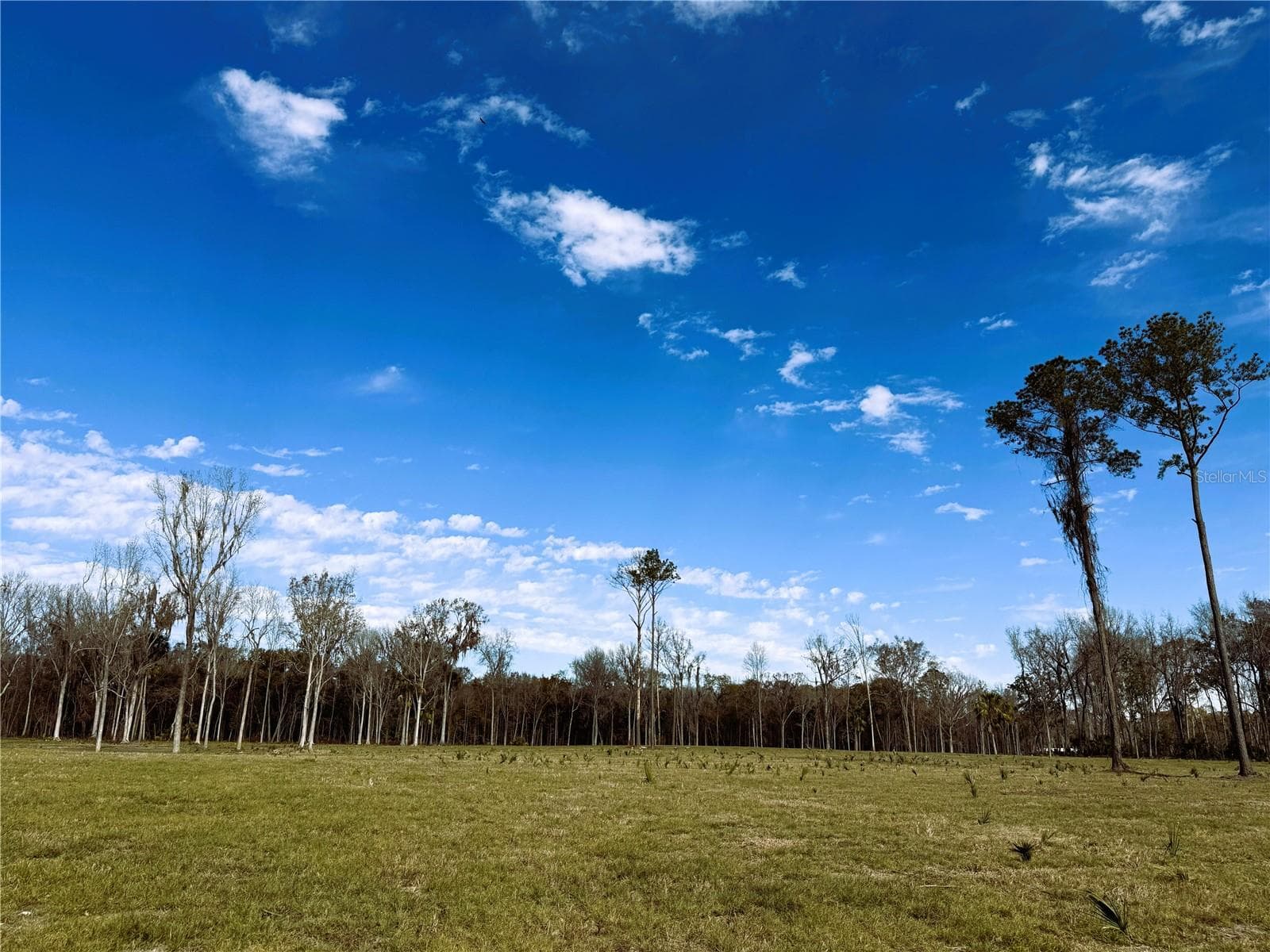 Land at DR #3 (10ac) NW 193RD ST, MICANOPY, photo 10 of 10