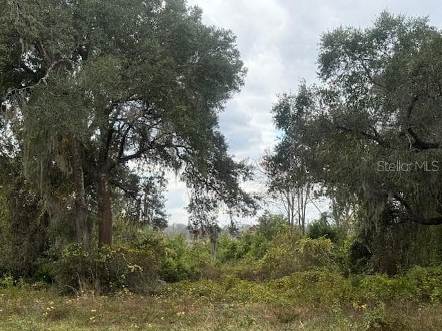 Land at SE 175TH TER, SILVER SPRINGS, photo 2 of 4