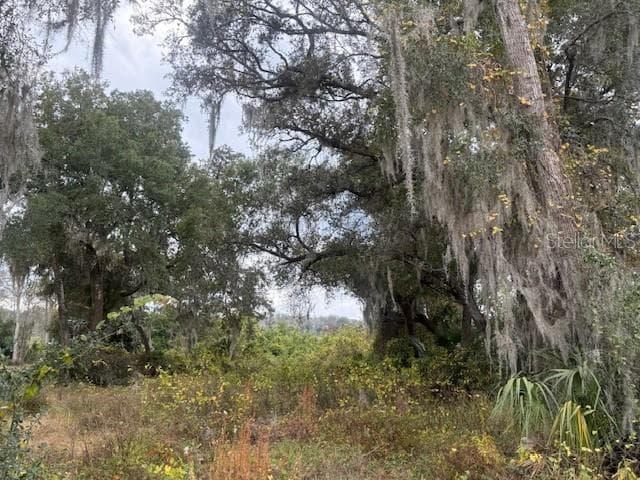 Land at SE 175TH TER, SILVER SPRINGS, photo 3 of 4
