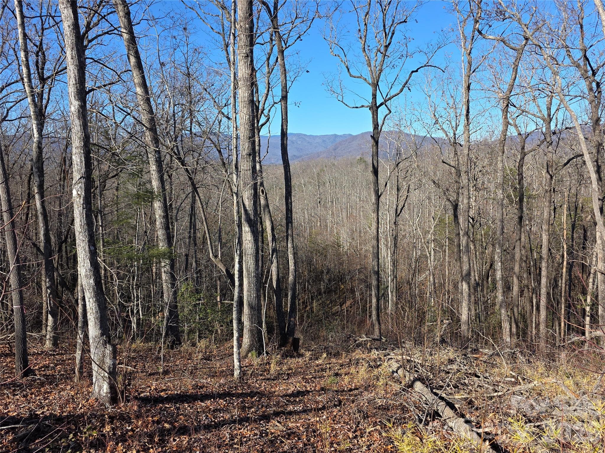 Lot at Lot 2 Warren Ridge Road, Old Fort, photo 3 of 11