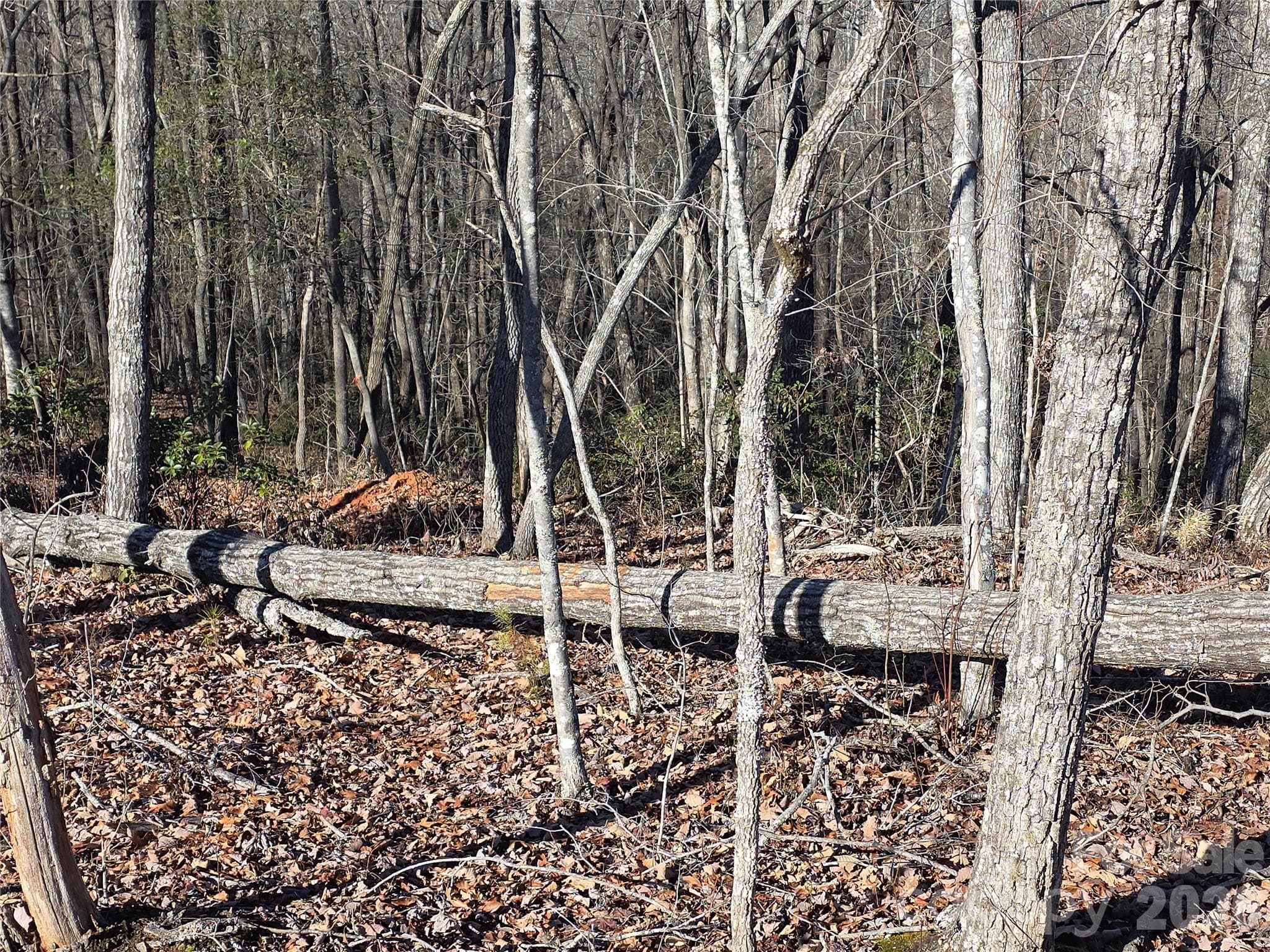 Lot at Lot 2 Warren Ridge Road, Old Fort, photo 6 of 11