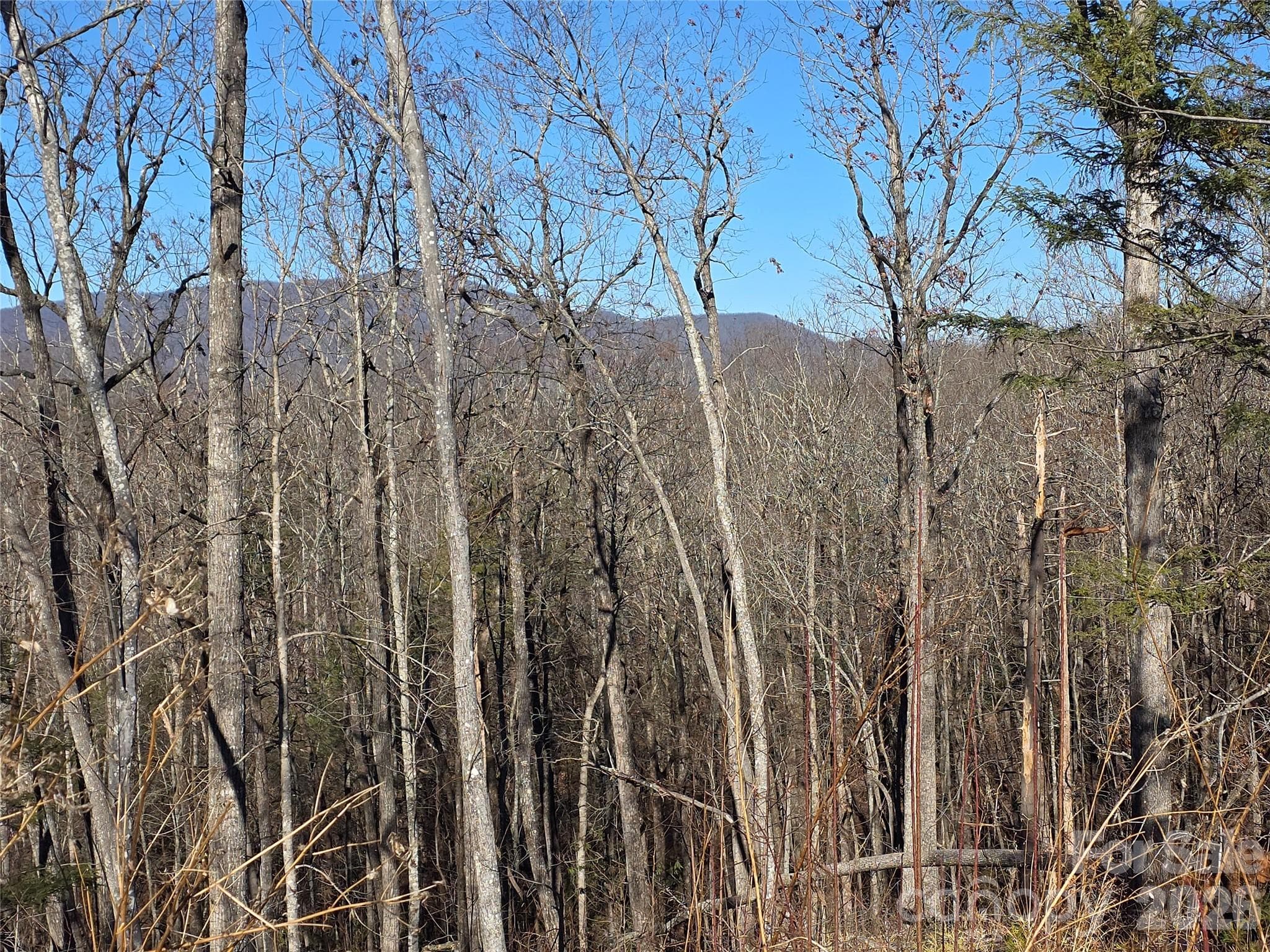 Lot at Lot 2 Warren Ridge Road, Old Fort, photo 8 of 11