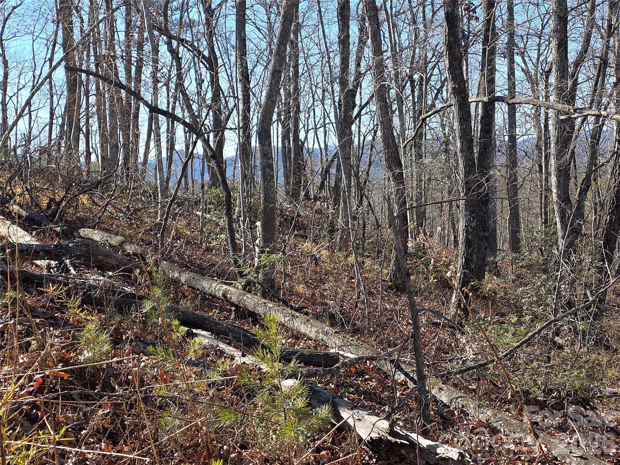 Lot at Lot 2 Warren Ridge Road, Old Fort, photo 9 of 11