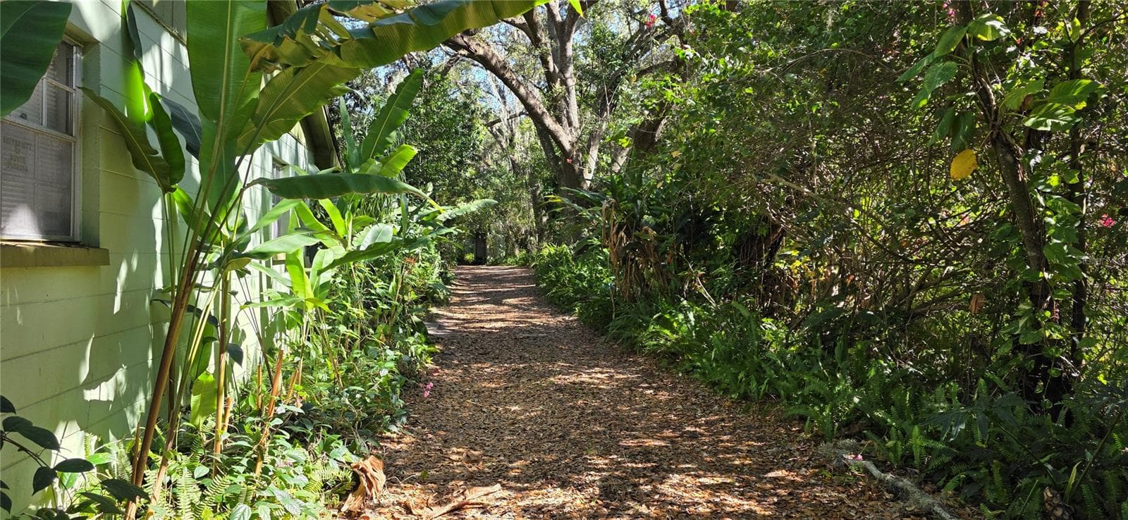 Path from the house to the street - 9906 GUNN HWY, ODESSA