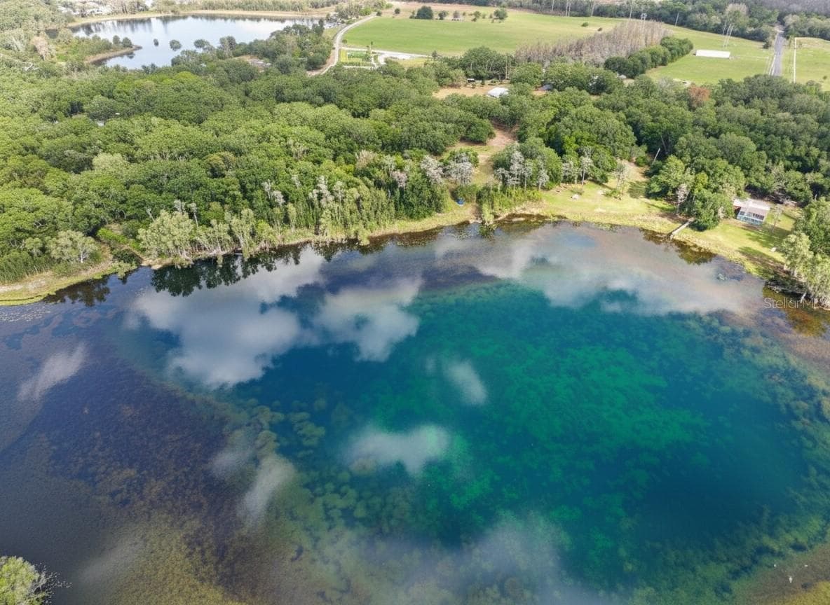 Lake Raeligh Appx 18 Acre Spring Fed Lake - 9906 GUNN HWY, ODESSA
