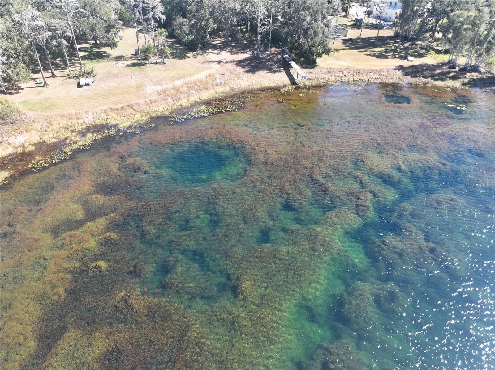 Appx 18 Acre Spring Fed Lake Raleigh - 9906 GUNN HWY, ODESSA