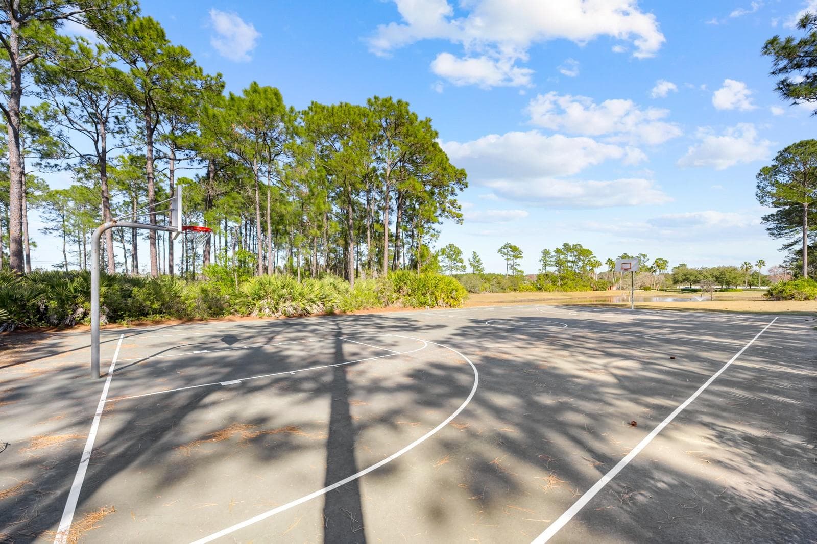 Townhouse at 466 WOODED CROSSING CIR, ST AUGUSTINE, photo 97 of 98