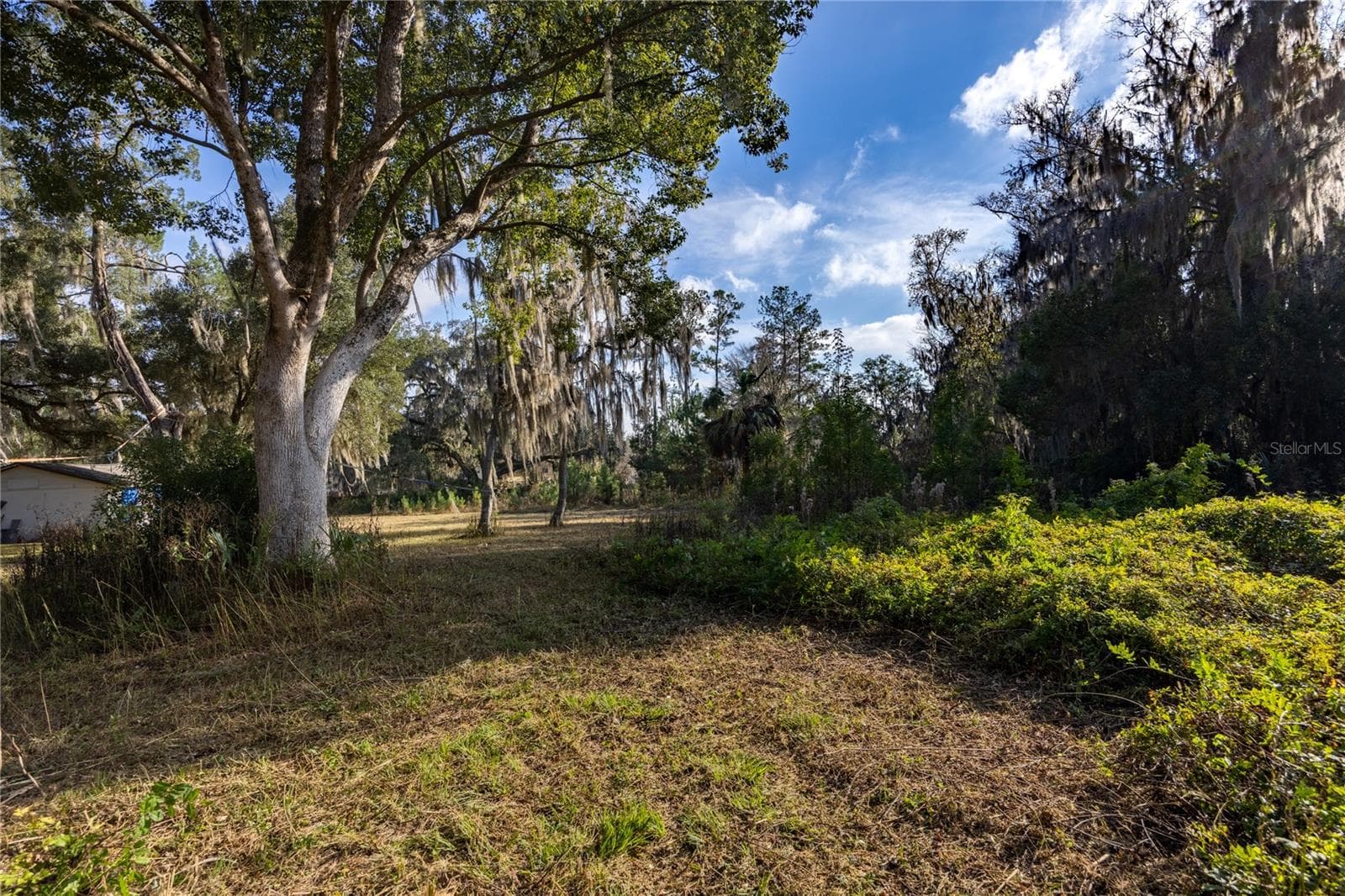 Land at 560 NW 39TH RD, GAINESVILLE, photo 6 of 13
