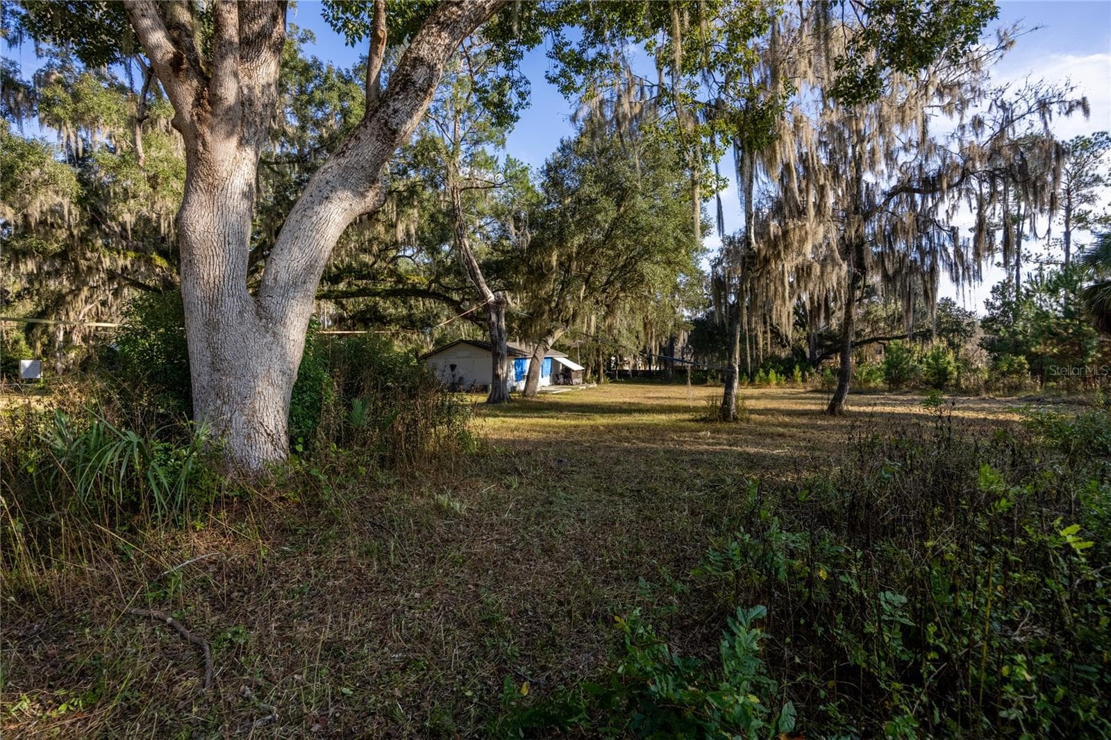 Land at 560 NW 39TH RD, GAINESVILLE, photo 7 of 13