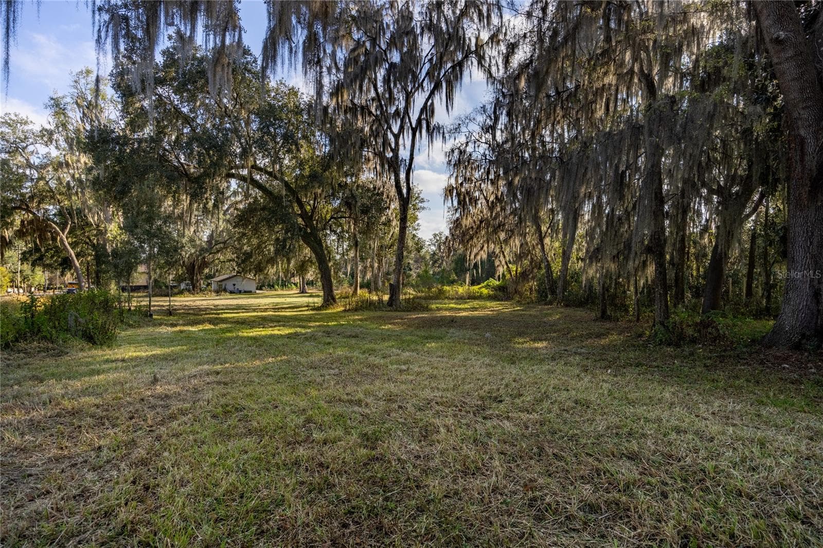 Land at 560 NW 39TH RD, GAINESVILLE, photo 8 of 13