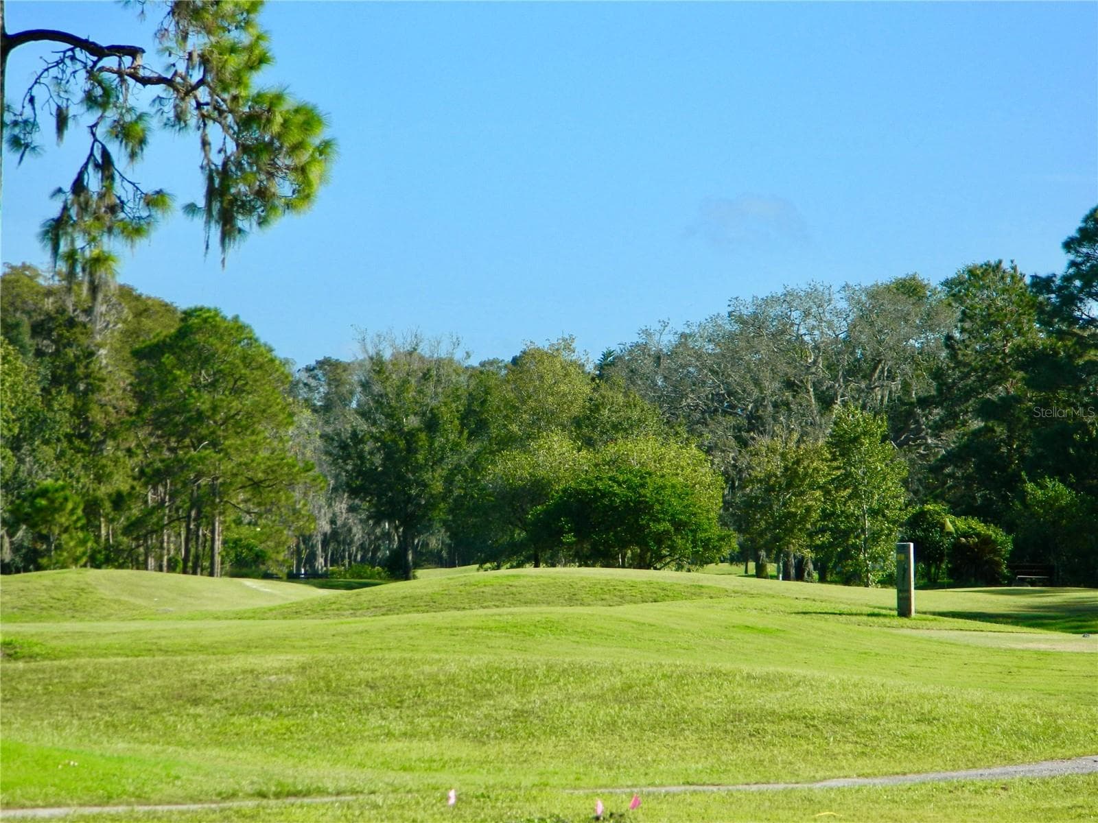 Condominium at 11931 BAYONET LN, NEW PORT RICHEY, photo 21 of 21