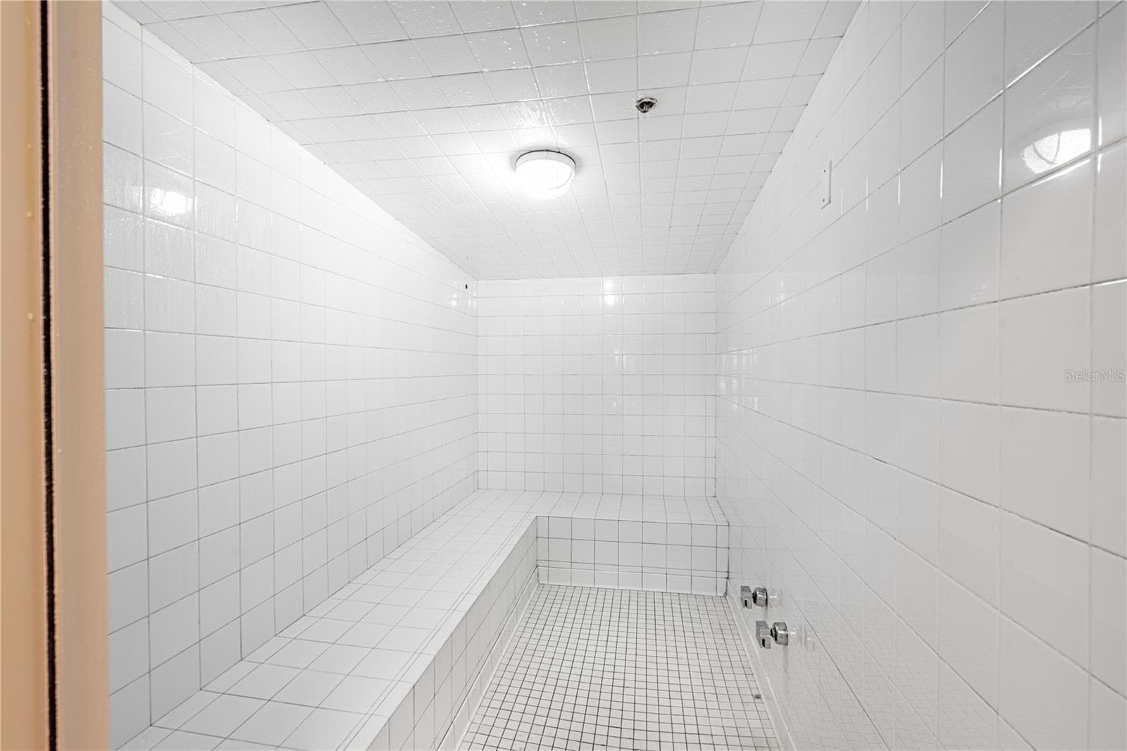 Sauna - 4606 OAK HAMMOCK CT #4606, PONCE INLET