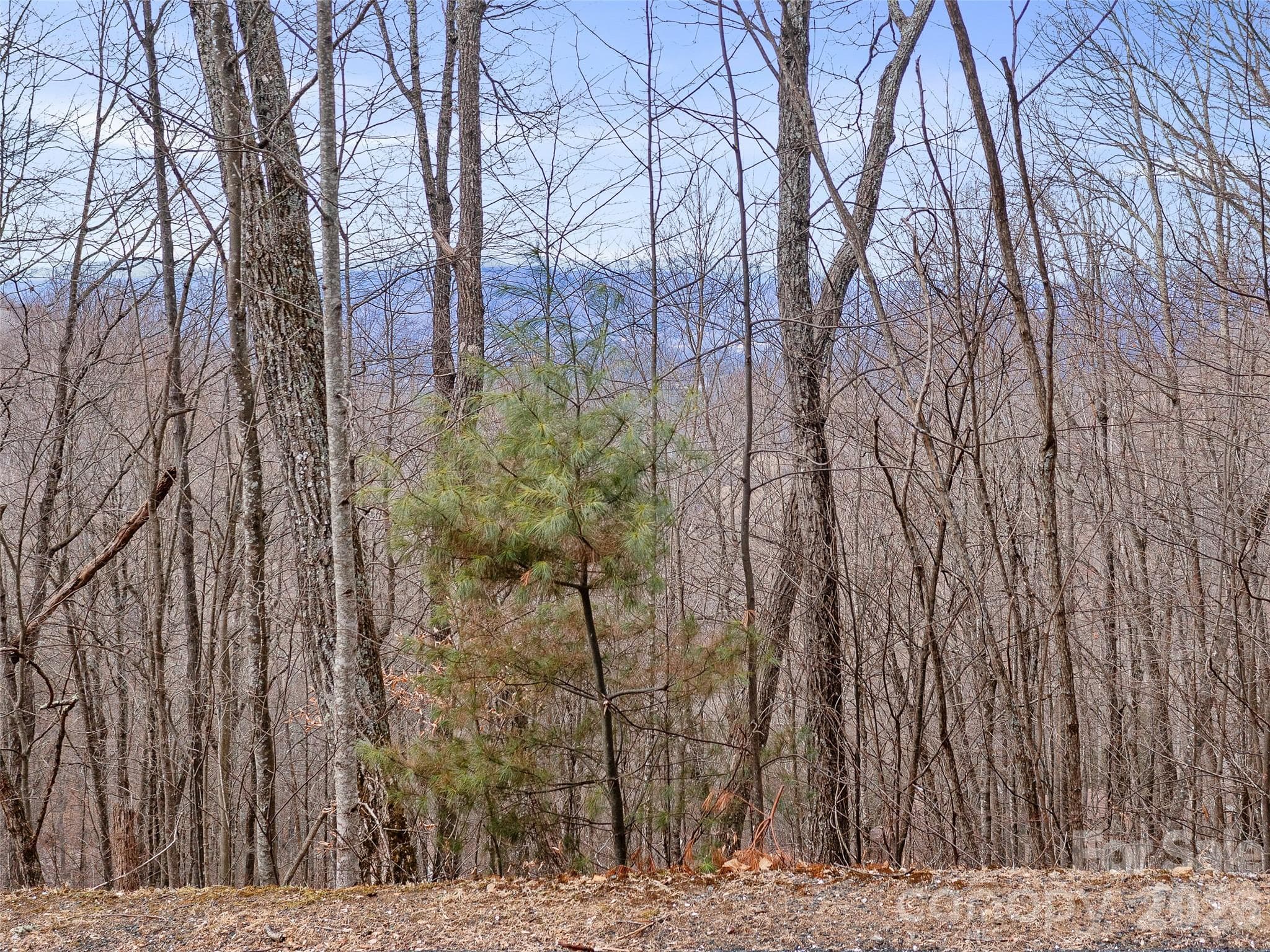 View - Burnsville