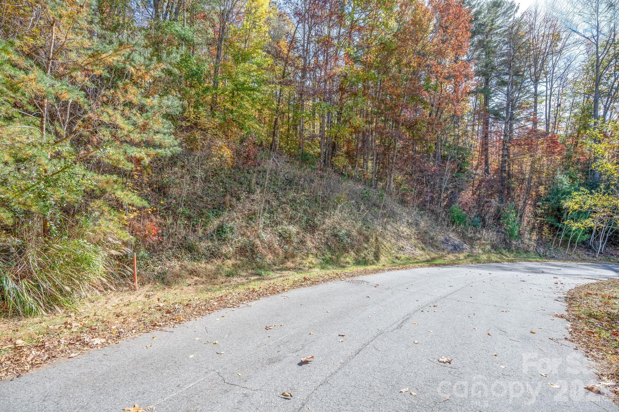 Lot 66 Street view - 66 HawTree Court, Weaverville