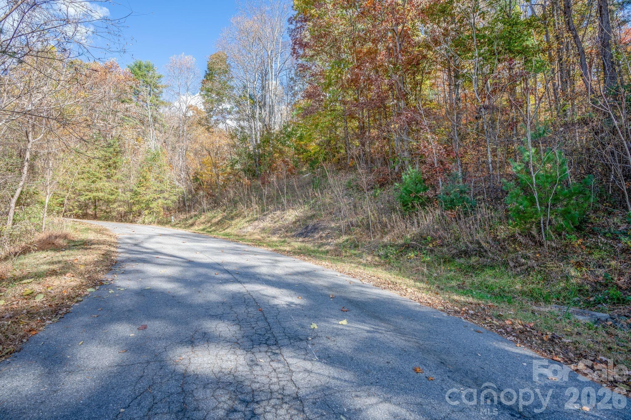Lot 66  - Street view - Easy Build home site area - 66 HawTree Court, Weaverville