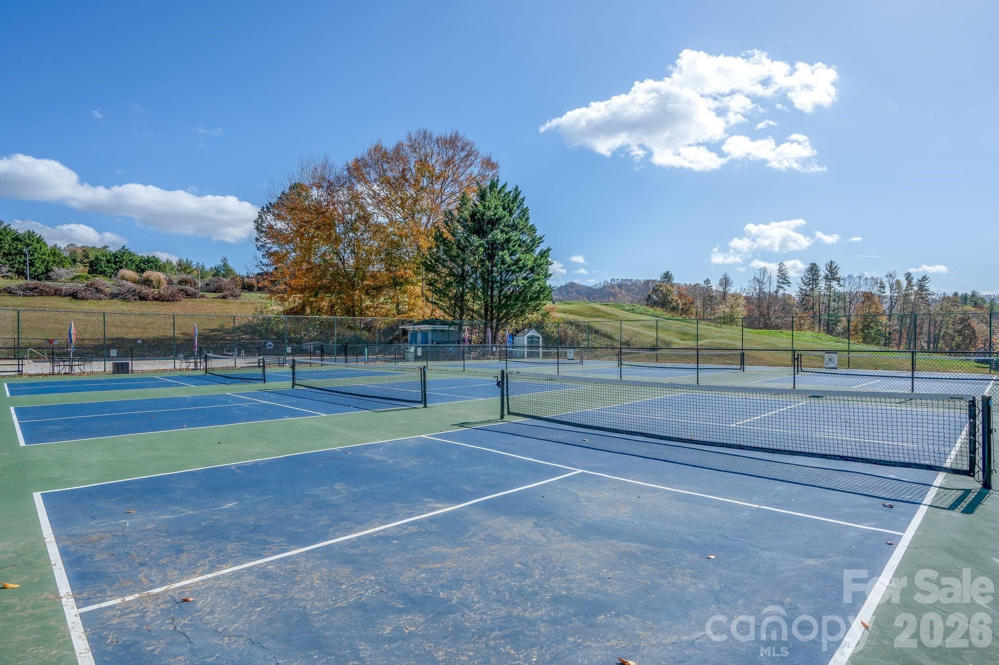 YES!! New Pickleball Courts recently installed!! Join the Craze!! - Great Social and Golf Memberships available. - 66 HawTree Court, Weaverville