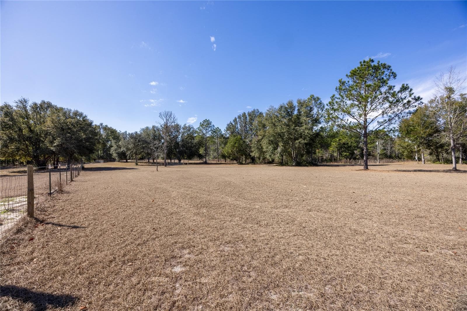 Front Yard - 12456 155TH PL, LIVE OAK