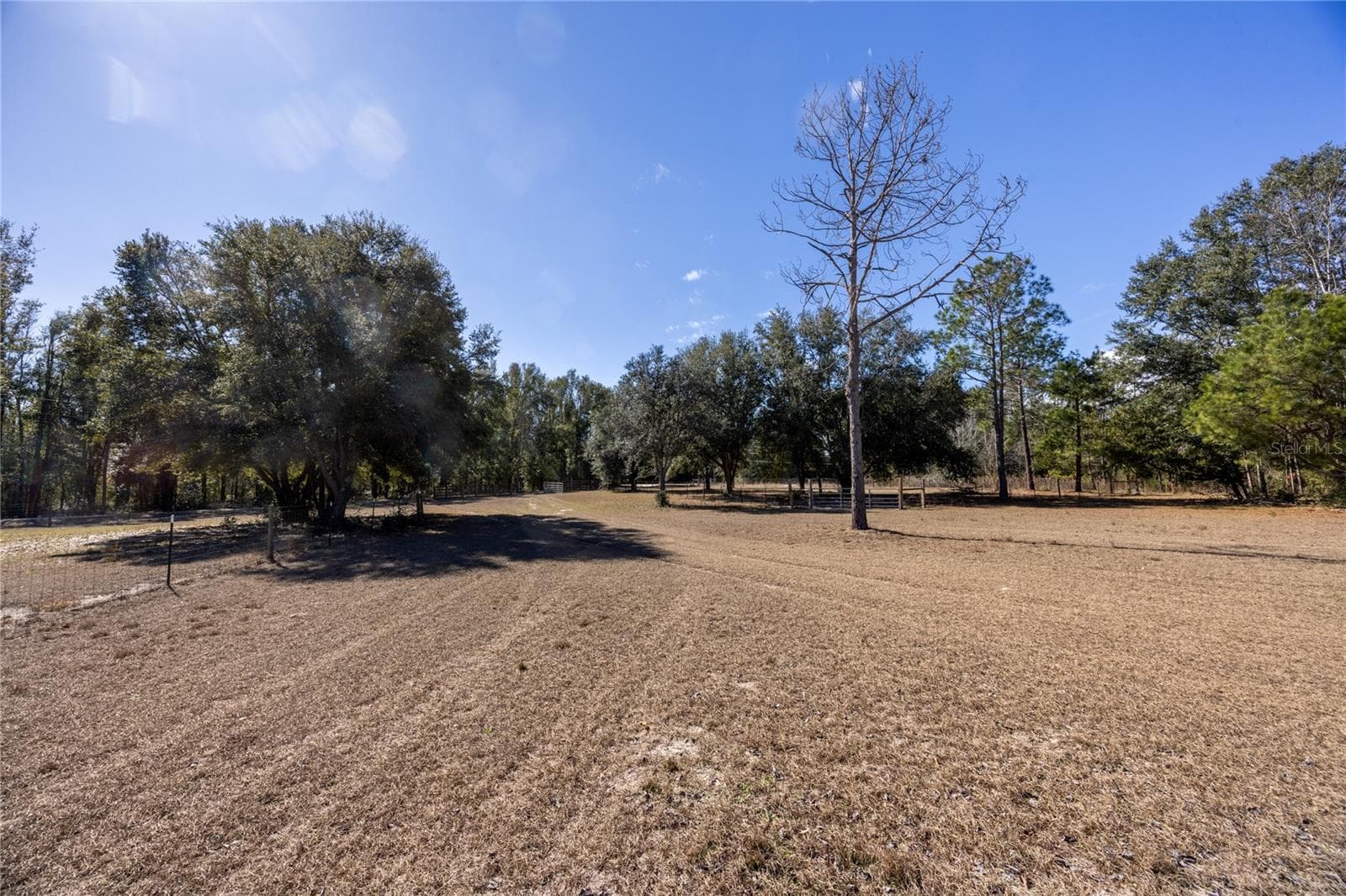 Front Yard/Driveway/Second Fenced Pasture - front - 12456 155TH PL, LIVE OAK