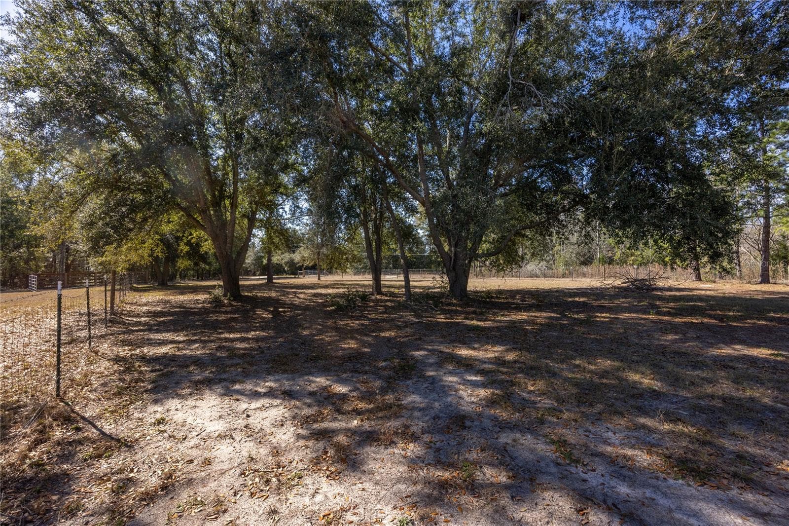 Second Pasture - front - 12456 155TH PL, LIVE OAK