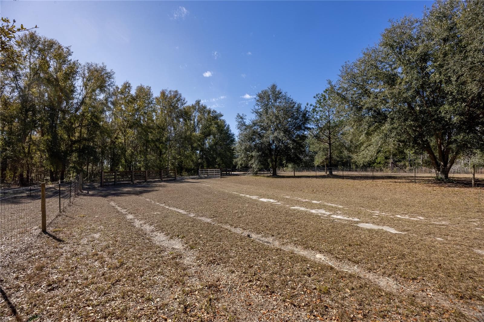 Driveway looking out to street - 12456 155TH PL, LIVE OAK