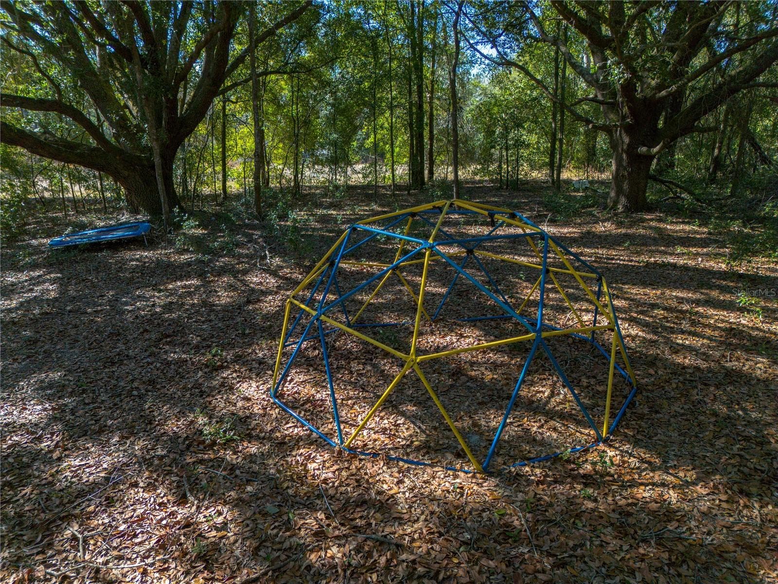 Hidden Playground in the trees - 12456 155TH PL, LIVE OAK