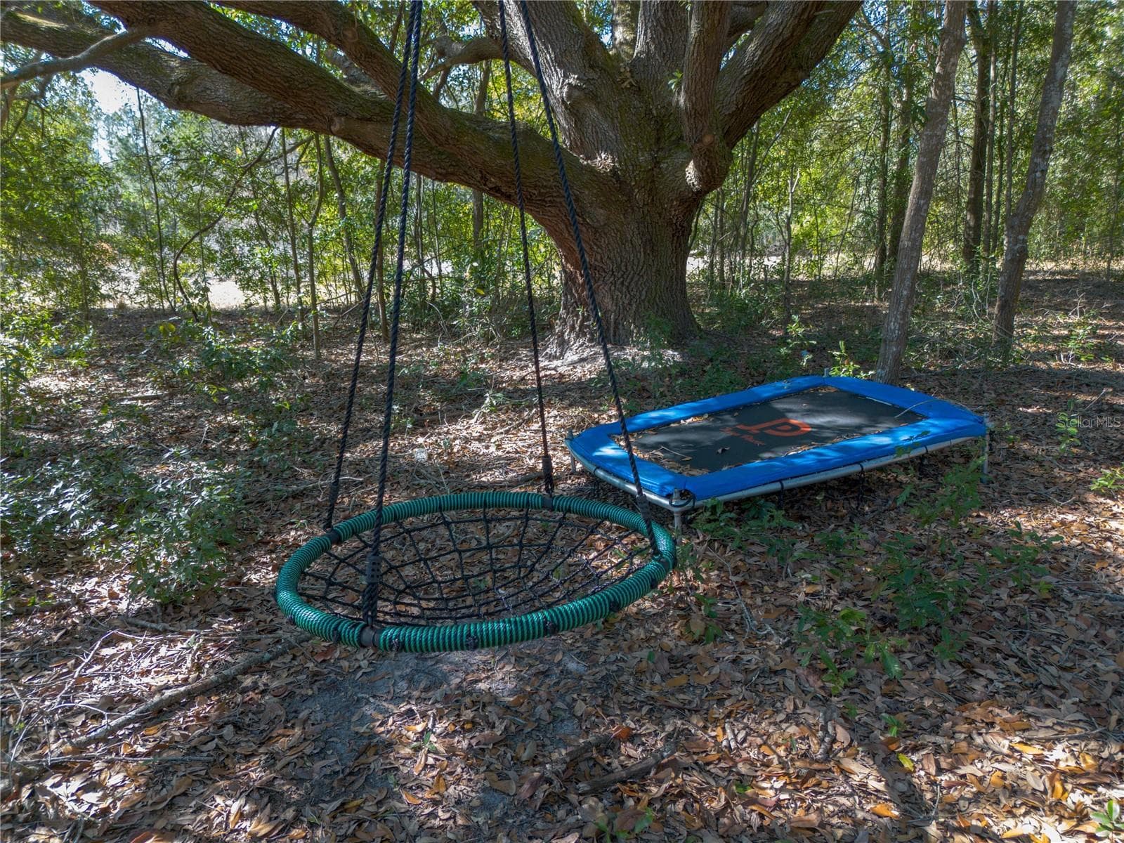 Playground in the trees - 12456 155TH PL, LIVE OAK