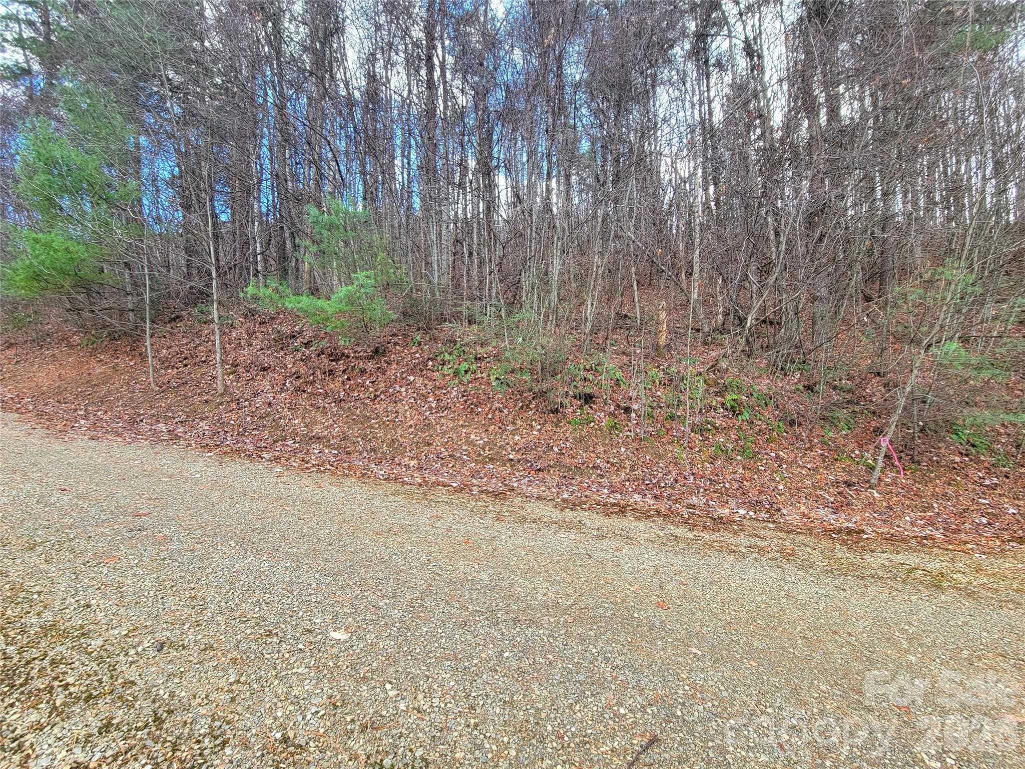 Lot at Waynesville, photo 2 of 19