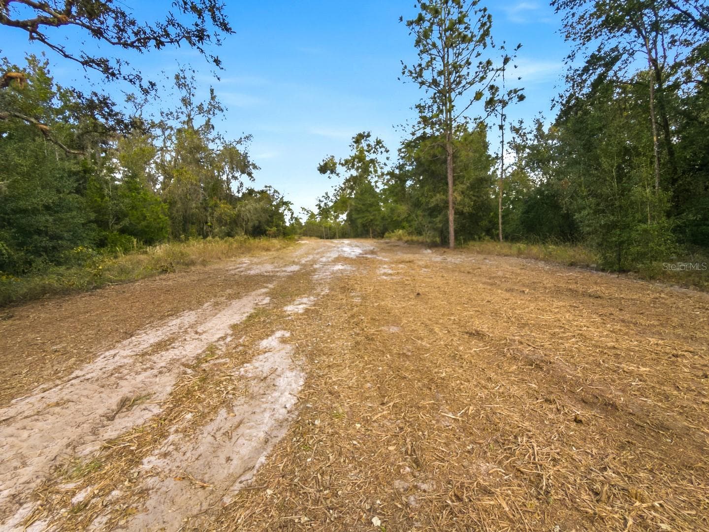Land at 34095 HYATT RD, DADE CITY, photo 41 of 45